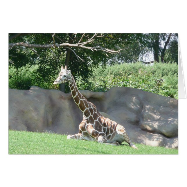 cartão girafa (Frente Horizontal)
