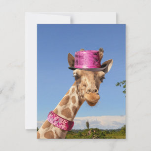 Cartão Girafa de chapéu cor-de-rosa brilhante
