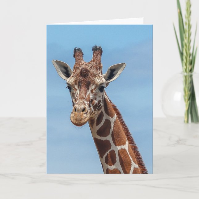 Cartão Girafa que olha direito em mim (Frente)
