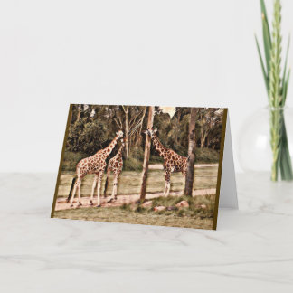 Cartão Girafas