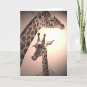 Cartão girafas, mãe e filho