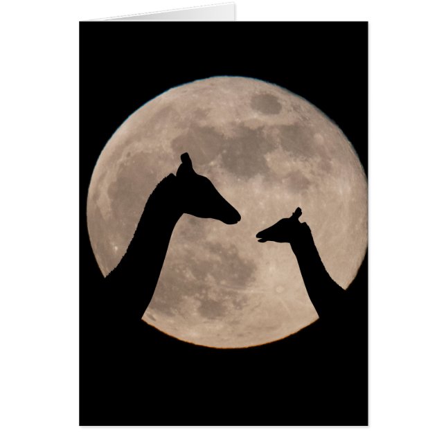 Cartão Girafas Na Lua Cheia (Frente)