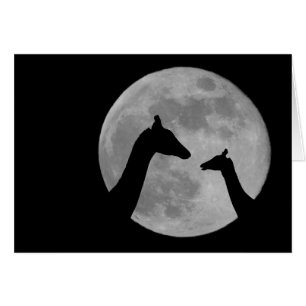 Cartão Girafas Na Noite De Fullmoon