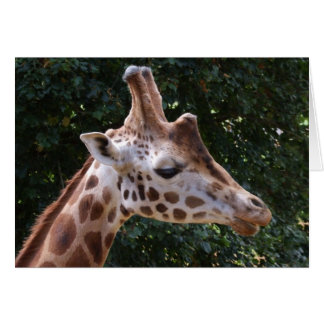 Cartão Giraffe