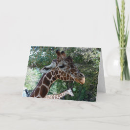 Cartão Giraffe Blank Inside Greeting Card