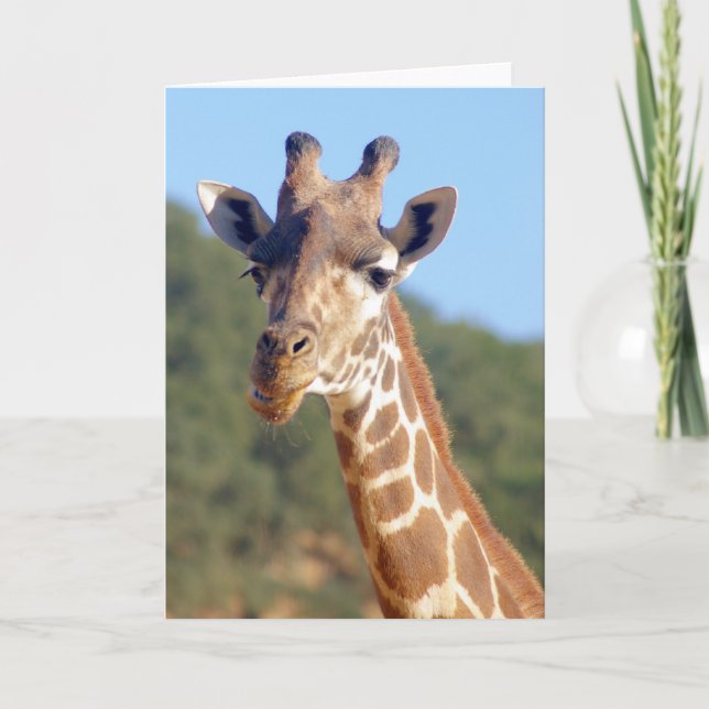 Cartão Giraffe Card (Frente)