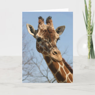 Cartão Giraffe Card