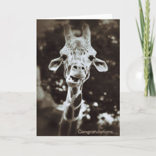 Cartão Giraffe Congratulations Greeting Card
