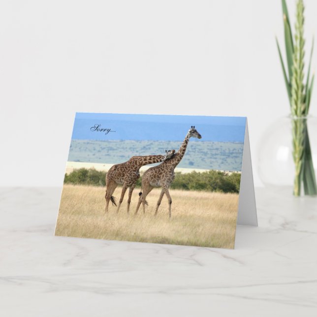Cartão Giraffe lamenta Card (Frente)