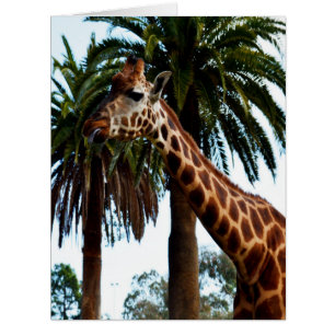 Cartão Giraffe Raspberry,_