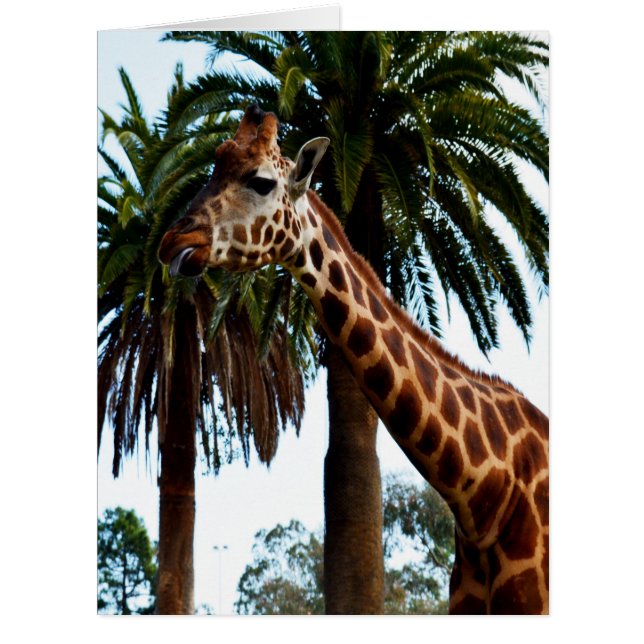 Cartão Giraffe Raspberry,_ (Frente)