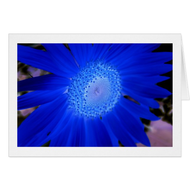 Cartão Girassóis (Frente Horizontal)