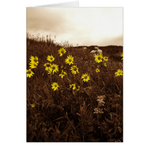 Cartão Girassóis