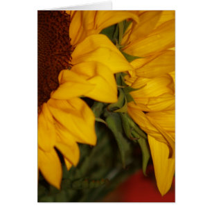 Cartão Girassóis