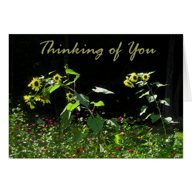 Cartão Girassóis e Wildflowers (Frente Horizontal)