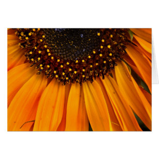Cartão Girassóis II