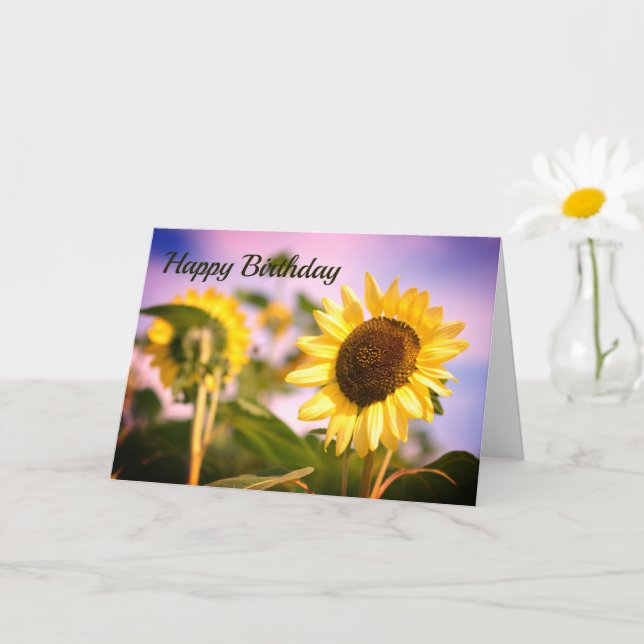 Cartão Girassóis na RHS Wisley, Reino Unido (Planta pequena)