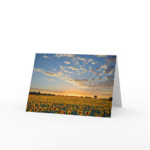 Girassóis no Vazio Sunset