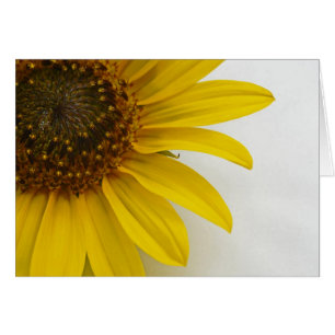 Cartão Girassol