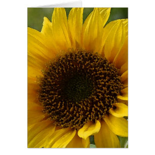 Cartão Girassol