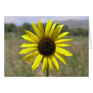 Cartão Girassol