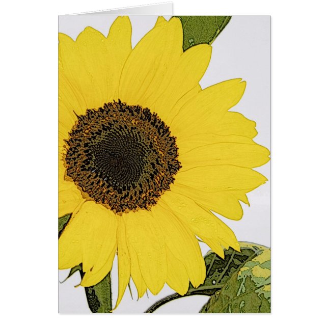 Cartão Girassol do orvalho da manhã (Frente)