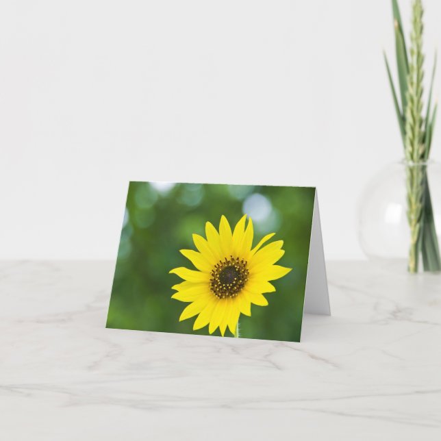 Cartão Girassol Notecards (Frente)