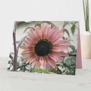 Cartão Girassol Rosa Pálido Fica Bem Em Breve Personaliza