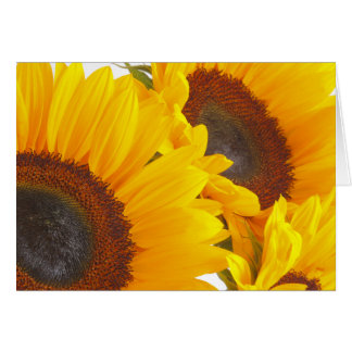 Cartão Girassol Triplettes