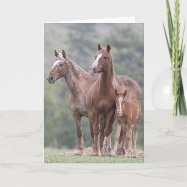Cartão Girl Power - Galloping to Freedom Greeting Card (Frente)