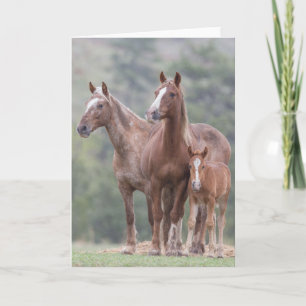 Cartão Girl Power - Galloping to Freedom Greeting Card