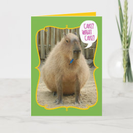 Cartão Giro Engraçado Capybara, Comida com Bolo, Birthday