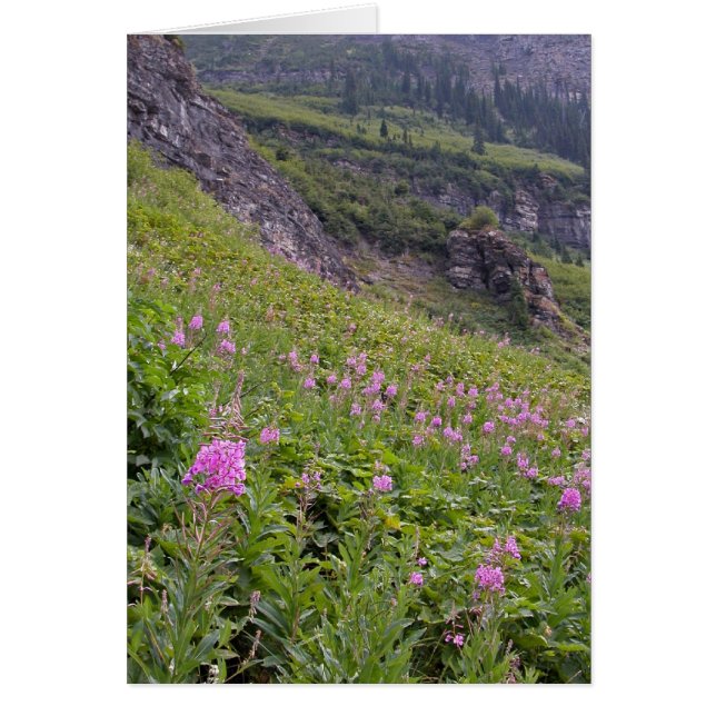 Cartão Glacier Park (Frente)