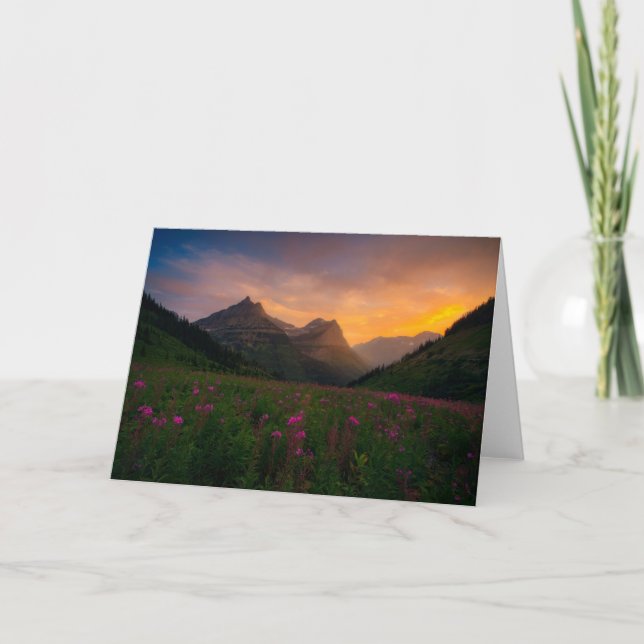 Cartão Glacier Wildflowers (Frente)