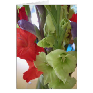 Cartão gladiolas de pam