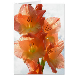 Cartão Gladiolas transparente