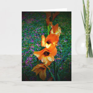 Cartão Gladioli, card