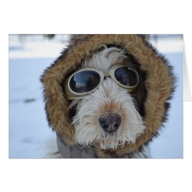 Cartão Glamor de inverno (Frente Horizontal)