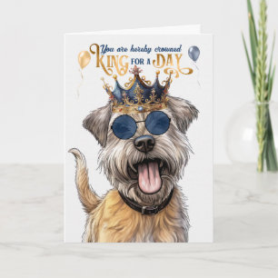 Cartão Glen de Imaal Terrier Dog King Funny Birthday