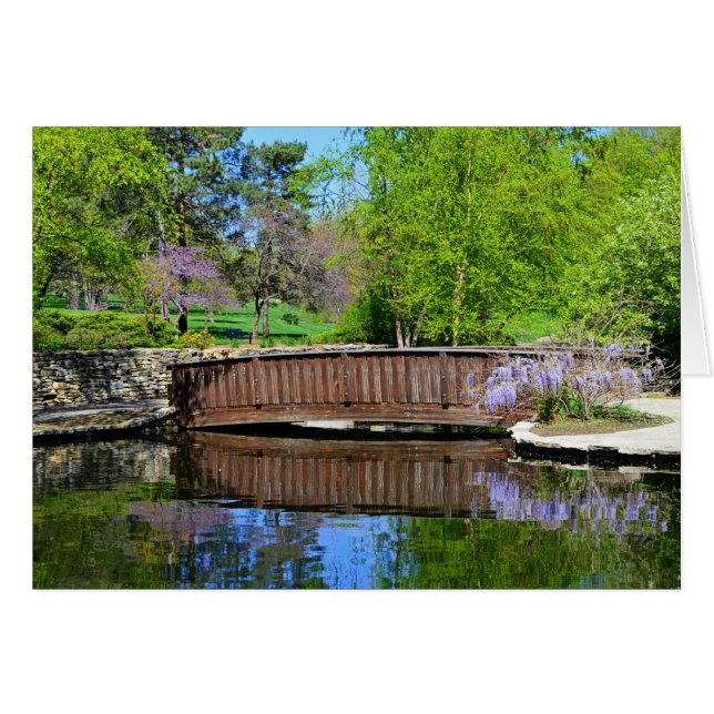 Cartão Glicínias na flor no parque fraco, Kansas City (Frente Horizontal)