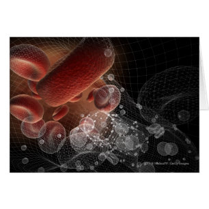 Cartão Glóbulos vermelhos no wireframe