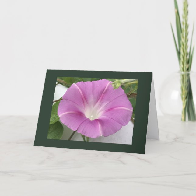 Cartão Glória da Manhã Charm Rosa em Branco (Frente)