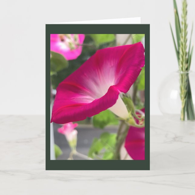 Cartão Glória-da-manhã Vermelho Rubi em Branco  (Frente)