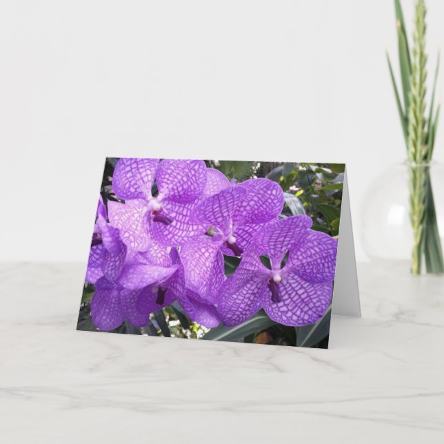 Cartão Glória roxa em Giverny, France (Frente)