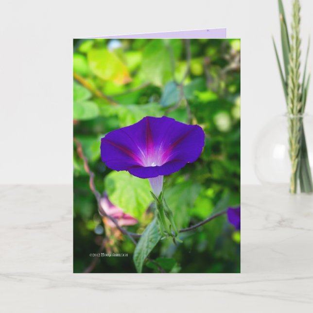 Cartão Glorioso Solo (Frente)