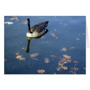 Cartão Glossy Goose