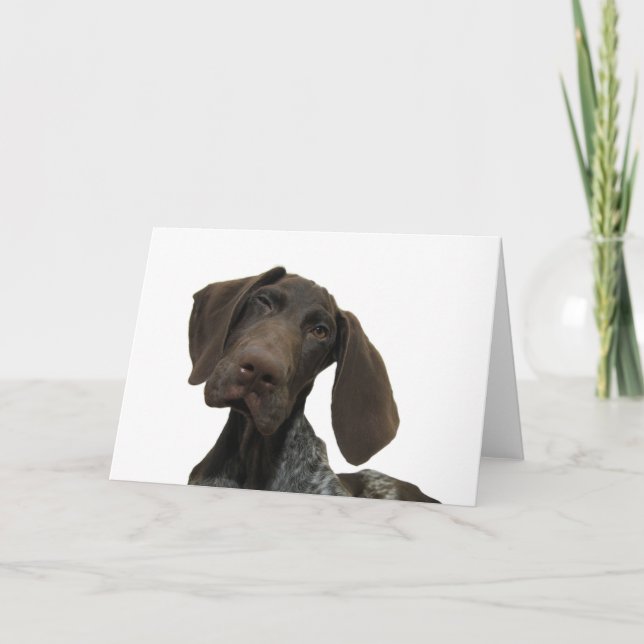 Cartão Glossy Grizzly Greeting Card (Frente)