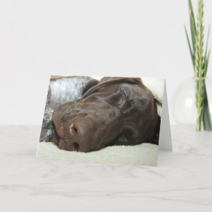 Cartão Glossy Grizzly Greeting Card