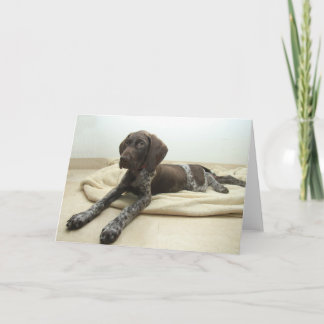 Cartão Glossy Grizzly Greeting Card