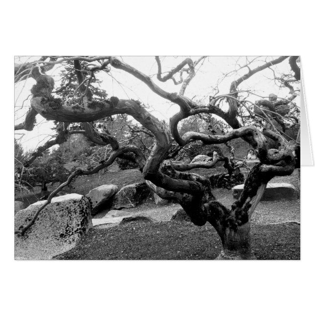 Cartão Gnarly do bordo 5x7 (Frente Horizontal)